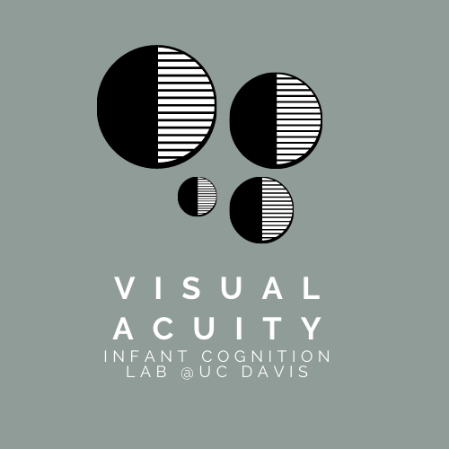 There are four black and white circles of different sizes, with the text "Visual acuity infant cognition lab uc davis" written below the circles. Inside the circles, on the left half of the circle, it is a solid black color. On the right half of the circles, there are black and white horizontal lines across the circle. The thickness of the lines is varied amongst the different circles.