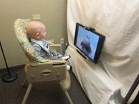 A baby seated in a high chair in front of the SMI eyetracker and computer monitor